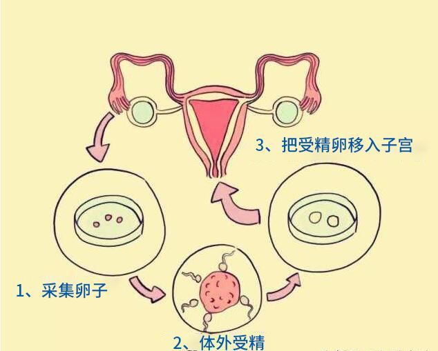 2024江苏南京同济试管代怀男孩婴儿费用是多少（怎么节省费用？）